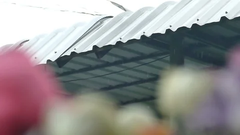 Rain splash droping from white industrial flat iron plate roof Vídeos de archivo 99518908