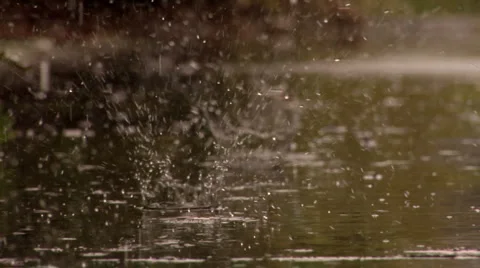 Rain splashes Vídeos de archivo 2468784