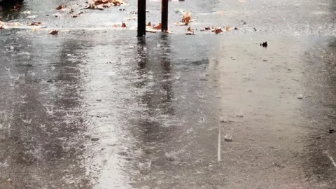 Rain splashes hit the asphalt, heavy rain, close-up Stock Footage 230078627
