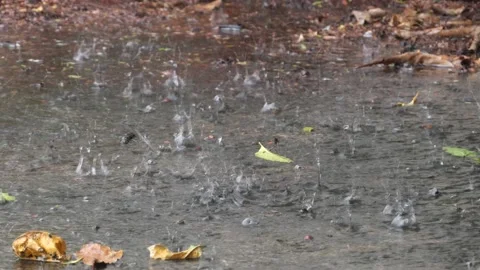 Rain splashes hit the ground, wet floor, peaceful scene. Stock Footage 160086376