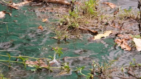 Rain splashes hit the ground, wet floor, peaceful scene. Stock Footage 160086412