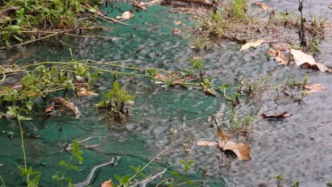 Rain splashes hit the ground, wet floor, peaceful scene. Stock Footage 160086433