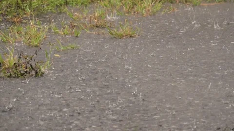 Rain splashes hit the ground, wet floor, peaceful scene. Stock Footage 160086462