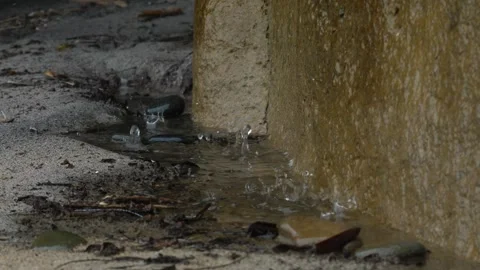 Rain Splashing Into Clear Water Puddle Stock Footage 272509198
