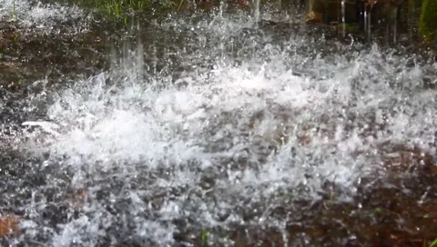 Rain splashing Video stock 4943599