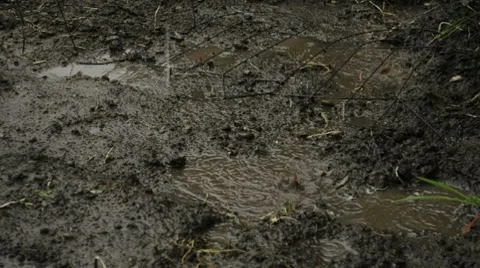 Rain Splashing in Mud Puddle 01850 Stock-Footage 8680523