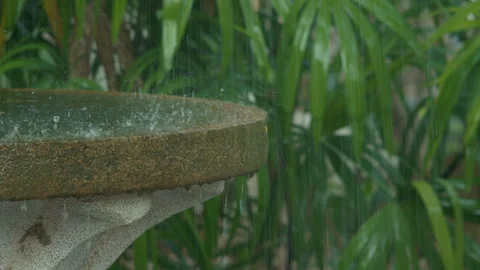 Rain Splashing in Stone Birdbath with Tropical Greenery Background Stock Footage 329344820