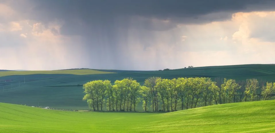 Rain in the spring fields Foto stock