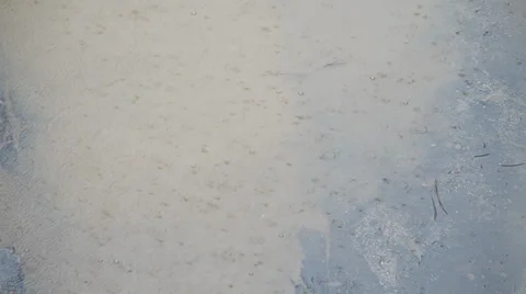 Rain in spring Stock Footage 37653854