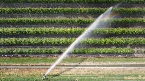 Rain sprinkler Stock-Footage 132070951