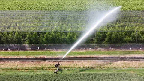 Rain sprinkler Vídeo Stock 132071011