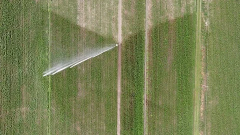 Rain sprinkler Stock Footage 132241918