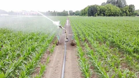 Rain sprinkler Vídeos de archivo 132244429
