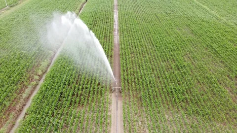 Rain sprinkler Video stock 132244569