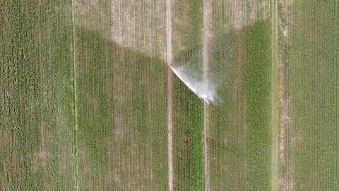 Rain sprinkler Stock Footage 132252526