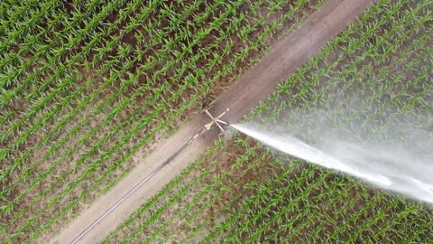 Rain sprinkler Stock-Footage 132254359