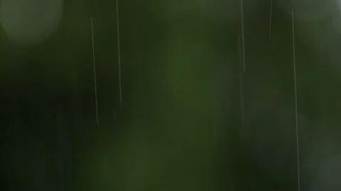 Rain Starting Stock Footage 238659416