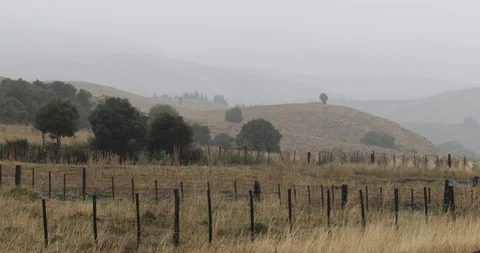 Rain in steppe landscape, in Junin de los Andes, Neuquen 스톡 동영상 94497822
