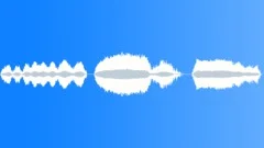 RAIN STICKSound Effect