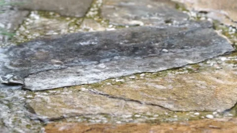 Rain on the stone pathio Video stock 134677530