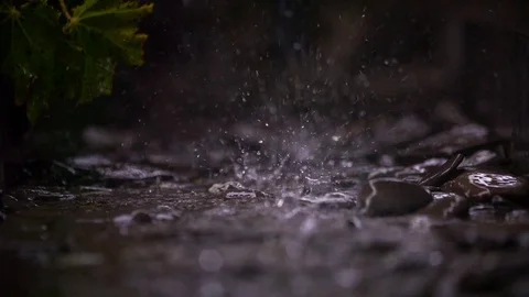 RAIN ON STONES SLOW MOTION 스톡 동영상 75256904