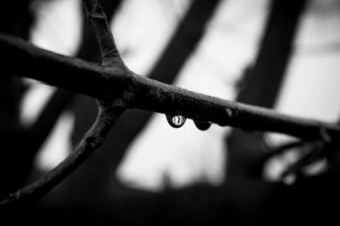 The rain stopped Stock Photos