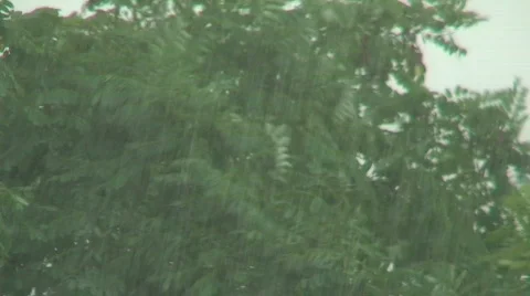 Rain storm 1 Stock Footage 88335