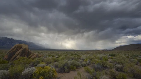 Rain storm and dark clouds in the desert Vidéo 110717574