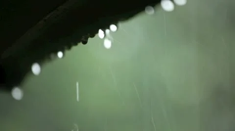 Rain storm on an awning Stock Footage 11424118
