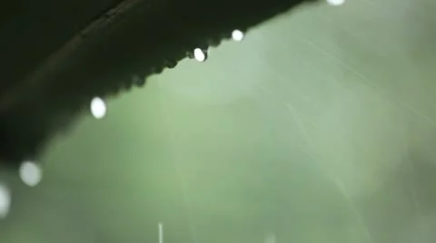 Rain storm on an awning Видео 11424126
