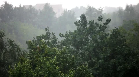 Rain storm in the city Stock Footage 52763659