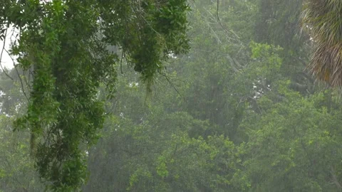 Rain storm Stock Footage 134490431