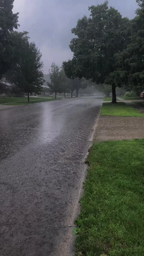 Rain storm Stock Footage 279523849
