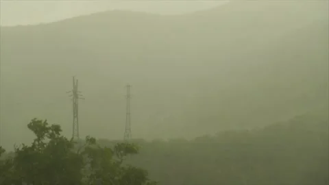 Rain storm in forest Stock Footage 187439749