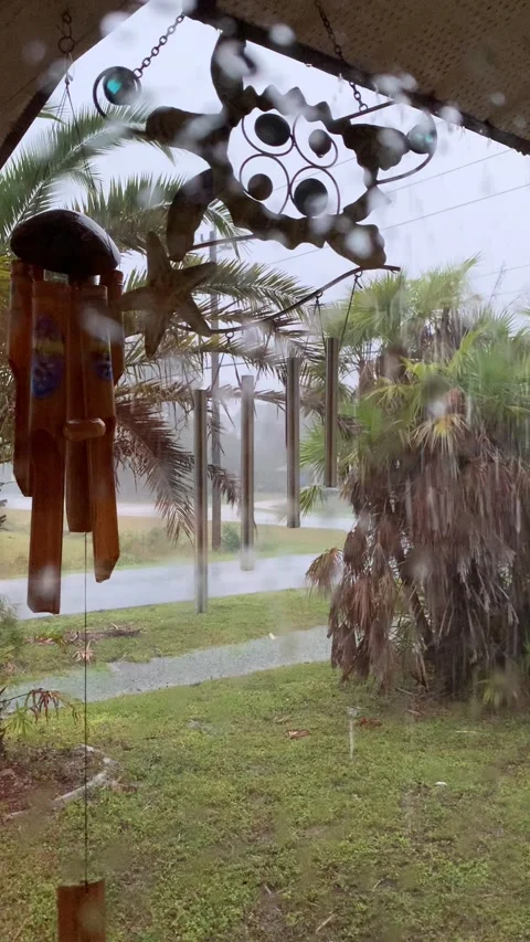 Rain storm at a house in florida Stock Footage 168592183