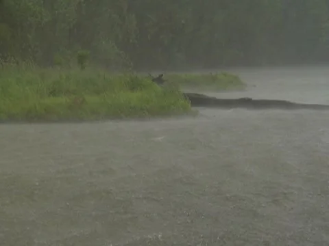 Rain Storm Hurricane River Flooding Bursting Banks Thunderstorm 動画素材 7765257