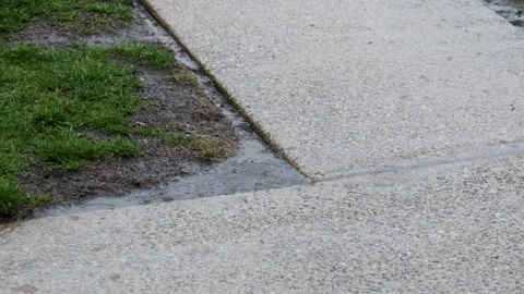 Rain storm puddle Stock Footage 240041748