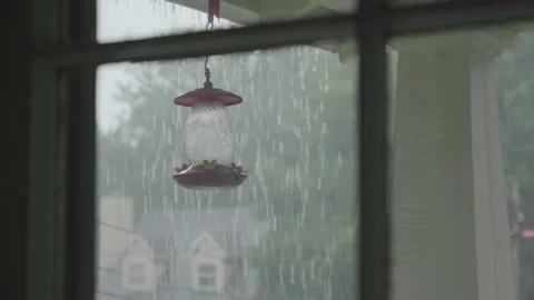 Rain Storm Through Window Hummingbird Feeder Stock Footage 159327714