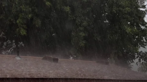 Rain storm wind and hail on shingles roof Vidéo 307889203