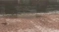Rain on the Street 131303 HD Footage