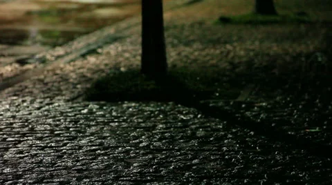 Rain in the street. 库存影片 36675499