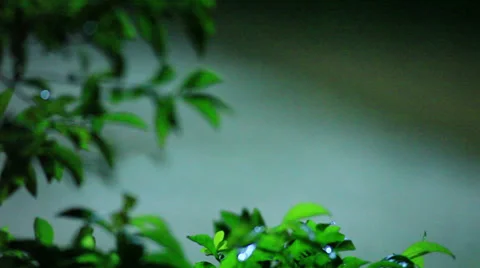 Rain in the street. Stockbeeldmateriaal 36699340