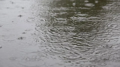 Rain on the street 스톡 동영상 42044641