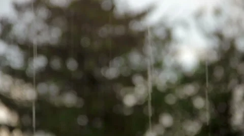 Rain on the street Stock Footage 50245001