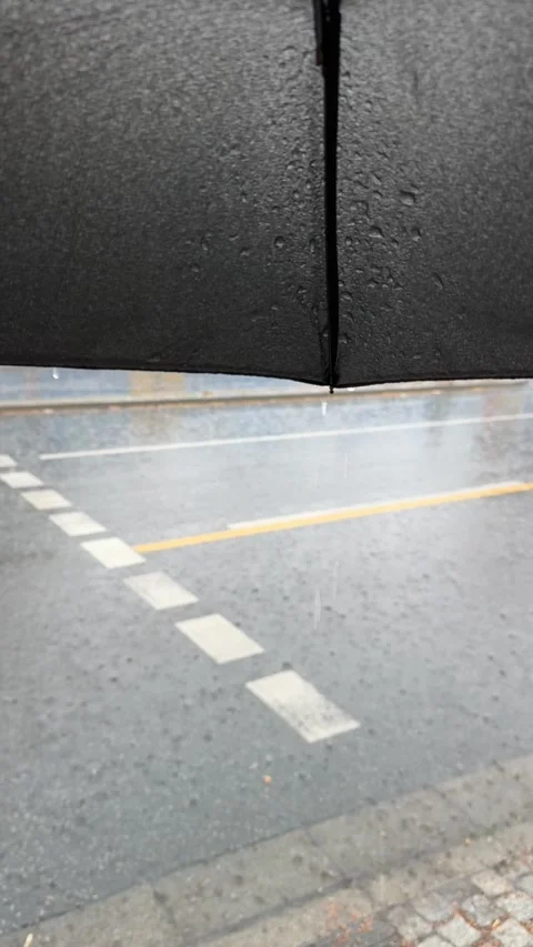 Rain in the street Stock Footage 313643413