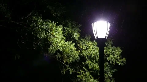 Rain on Street Lamp Stock Footage 44235560