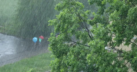 Rain in a summer city Stock Footage 136412876