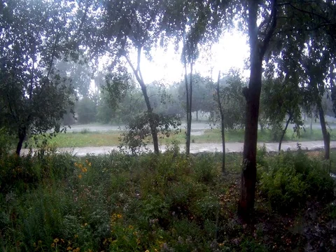 Rain in the summer Stock Footage 93081307