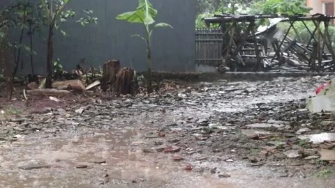 Rain in the summer Stock Footage 237038481