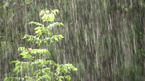 Rain in sunlight Stock Footage 494721